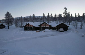 Luxurious Mountain Lodge